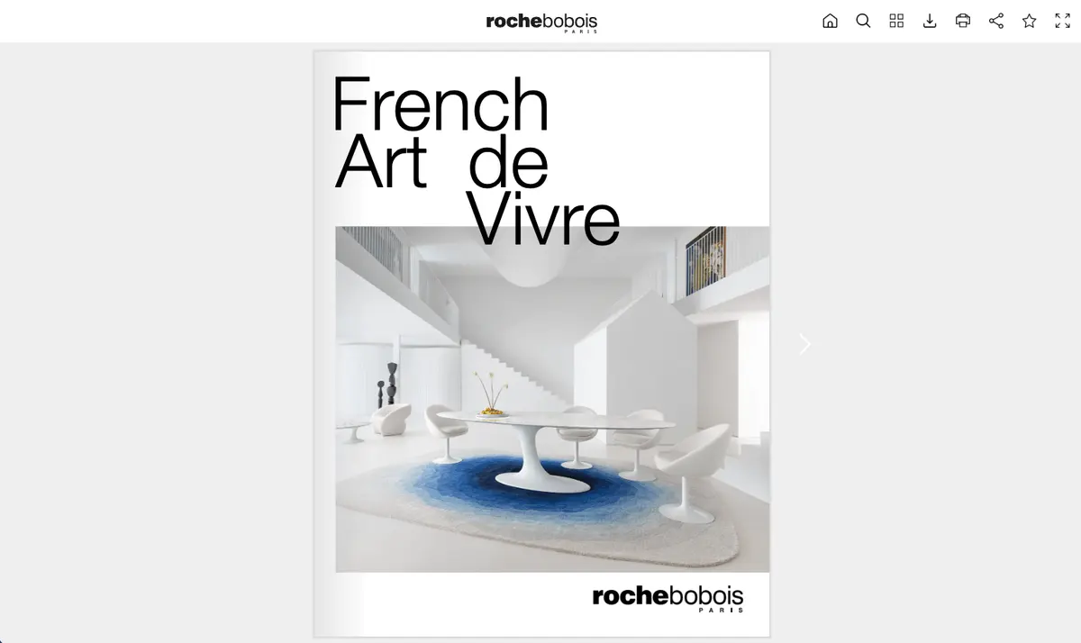 Roche Bobois