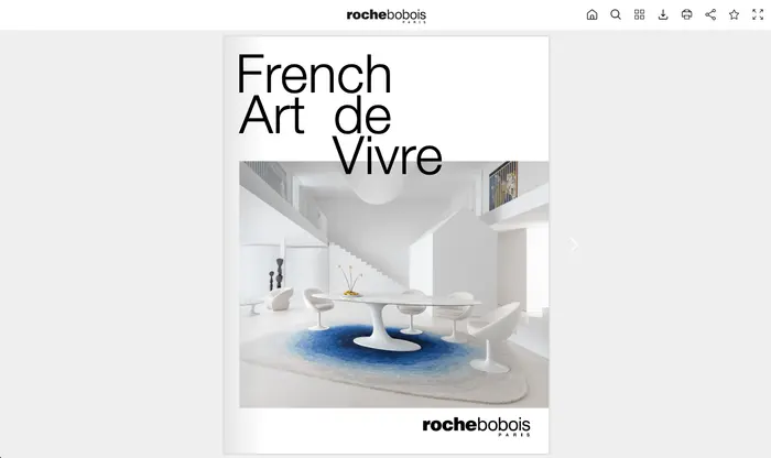 Roche Bobois